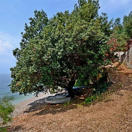 Edi Apartamento Gdinj